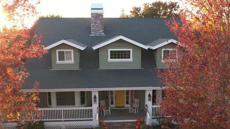 Best Roof Moss and Algae Removal  in Harker Heights, TX